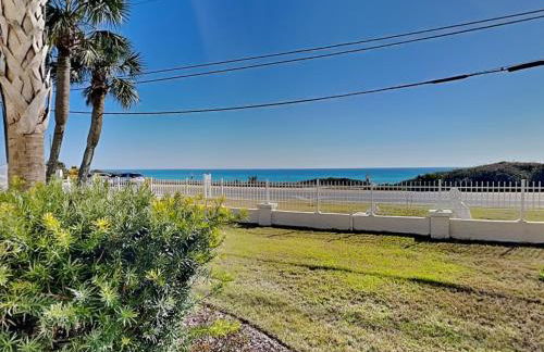 Lion On The Beach - Photo 15