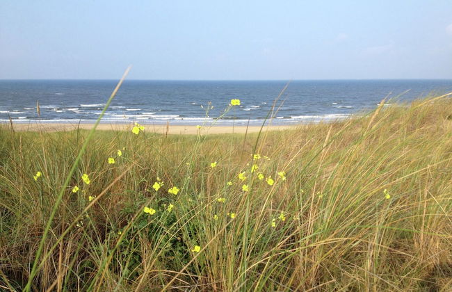 Detached Holiday Home in the Centre of the Forest - Photo 10