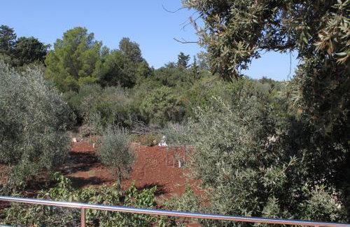 Apartments with a parking space Ugljan - 8404 - Foto 27