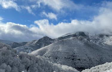 Ollar do Cido - Foto 57