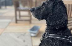 Cosy Little Home By The Sea - Foto 61