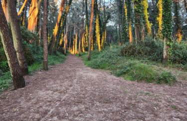 Apartamento Playa San Juan 1 - Foto 22