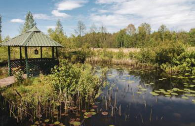 Chatka w lesie - Foto 41