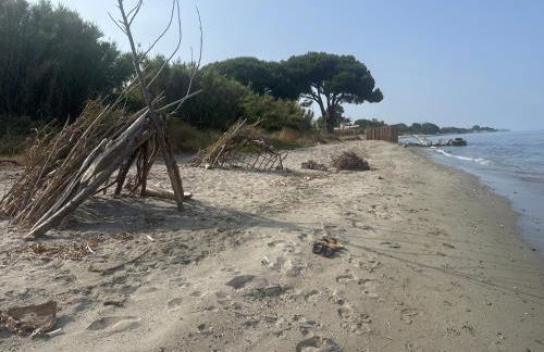 Appartement n 302 moriani plage - Foto 29