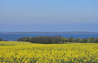 Ferienhaus - 135 qm - 3 SZ - 2 Terrassen - Nähe Insel Poel Ostsee - Foto 49
