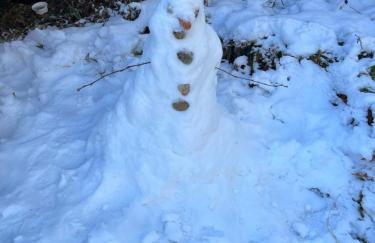 Waldhaus Max - Foto 23