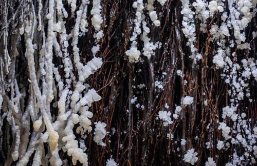 Łabowska Chata - Basen, Sauna, Grota solna - Foto 70