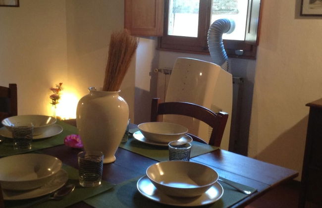 Vellutini Number One - Foto 25