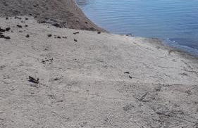 Apartmani Sunčev sjaj - Photo 25