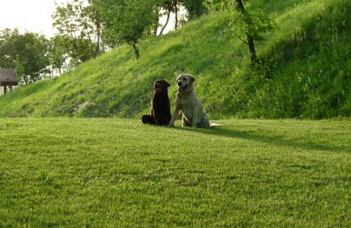 Villa Podere Quartarola - Foto 45