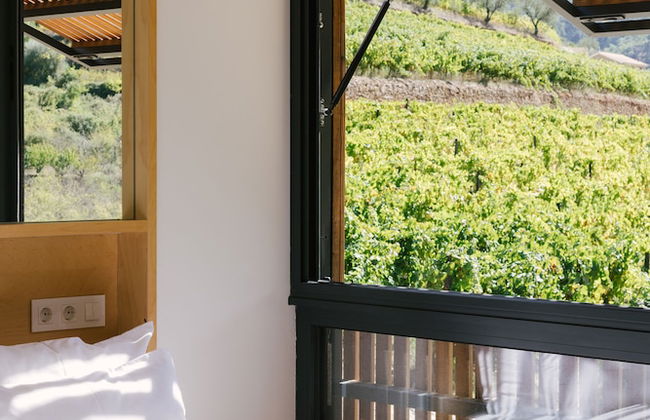 Quinta de Recião - Foto 18