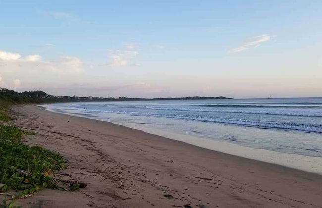 Palm Beach Inn - Foto 27