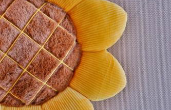 Petra Hills - Foto 49