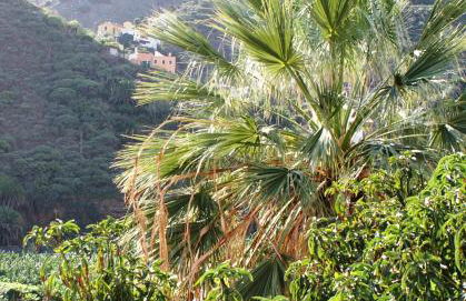 Casa Creativa - Foto 14