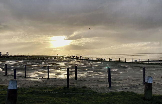 Dandelion Modern Retreat - Foto 10