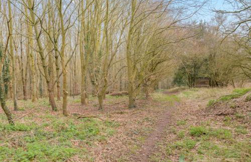 3 Bed in Ross-on-wye oc-94442 - Foto 22