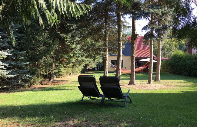 Ferienhaus Mirow-Lärz - Kamin Wald Ruhe - Foto 53