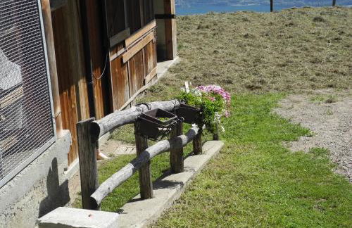 Agriturismo Piccolo paradiso - Foto 51