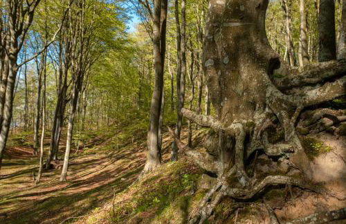 Apartament 12B Niebieskie Apartamenty z basenem krytym, odkrytym, salą zabaw, animacjami - Photo 35