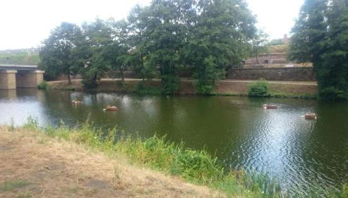 AMF Ferienwohnungen historischer Soutyhof - Foto 3