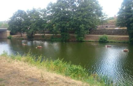 AMF Ferienwohnungen historischer Soutyhof - Foto 3