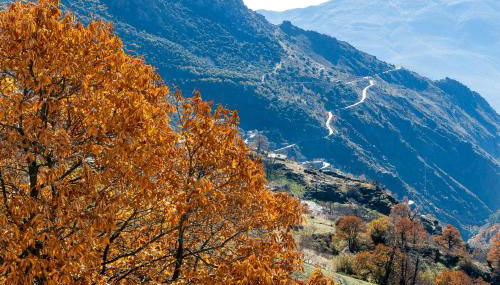 Casa Consuelo - Foto 3