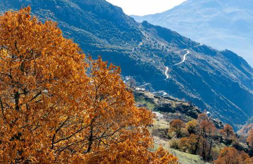 Casa Consuelo - Foto 3