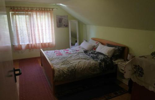 Paun - Photo 11