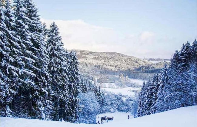 Holiday Home in Sellerich With Forest - Foto 31