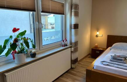 Pension zum Winterberg - Foto 8