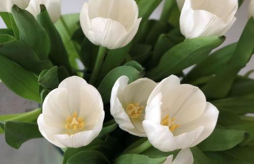 Ferienwohnung Lieberhier - Foto 7