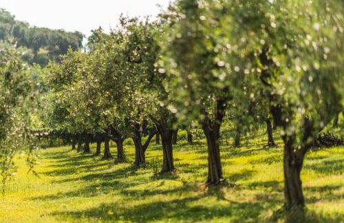 Privilegium Lazise - Photo 58