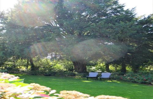 Holiday Home in Huelgoat near Monts d'Arrée - Foto 35