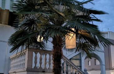 Casa del Vigneto - Foto 6