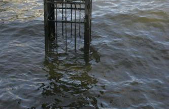 3 bed Lake Sammamish Waterfront + Peloton Bike - Foto 53