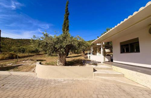 Domus Villa - Foto 26