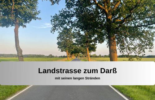 Gut Bisdorf Eixen - Mache Urlaub und werde Gutshausretter - Foto 26