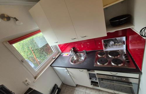 Ferienwohnung Altenaublick Husen - Foto 4