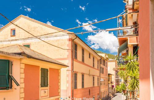 Tik Tok, TerreMarine - Foto 9