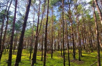 Apartamenty Plażowa Park Międzywodzie - Foto 28