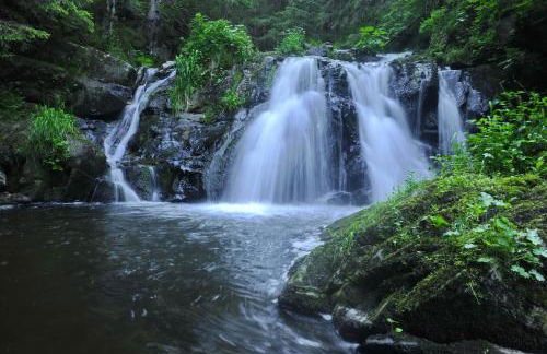 Ferienhaus Lindenglück - Foto 21