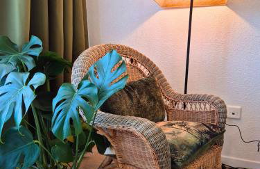 ''Providence'' - Balcon - Wifi - Linge fourni - Foto 26