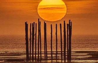 200 M Port de Cassy , studio cosy 3 pers - Foto 8