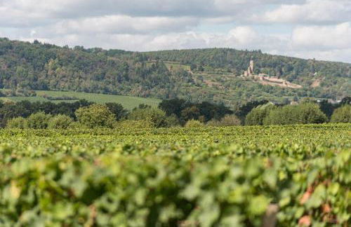 Unter den Reben - Foto 18