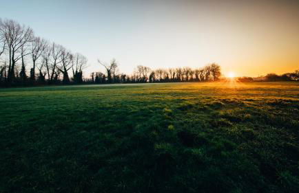 Moors Wood Relaxing ,Tranquil retreat with Hot Tub - Foto 18