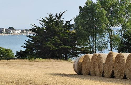 cote d'armor - Foto 9