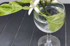 Delux Center Punta Umbría - Foto 40