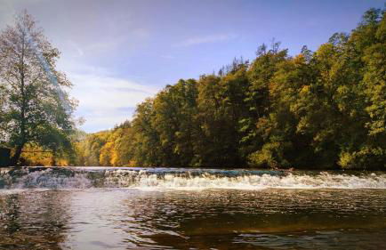 Ferienhaus Laange - Foto 30