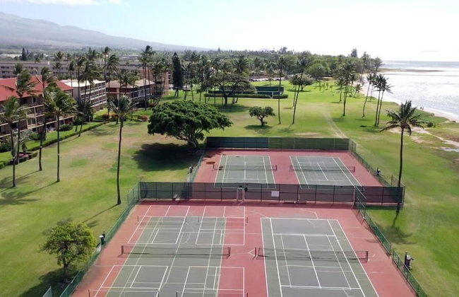 Calming Coastal Vistas - Photo 47