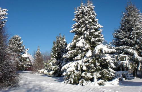 Holiday Home Haus Winnetou by Interhome - Foto 15